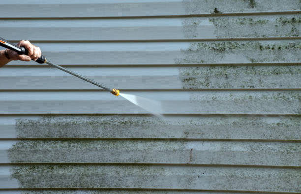 Best Roof Pressure Washing  in Boley, OK